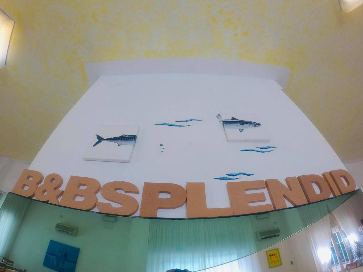 Splendid *